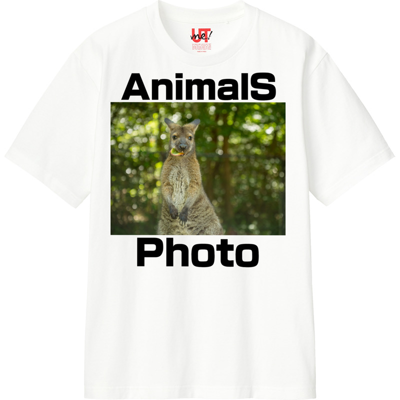 B5c5cde5 6a14 4fc2 a3cb 04c3be52053d 110 print ll