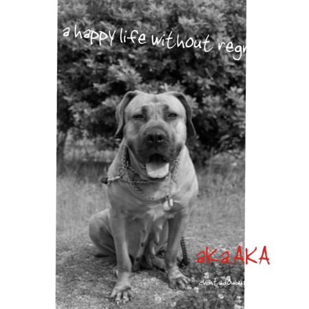 C61b0813 9cd2 4017 ad42 a56f7cc86939 s