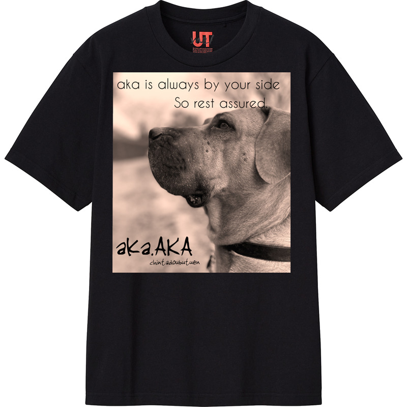 55f0b431 40b6 4e1b bc19 77bf3a4b33e2 111 print ll