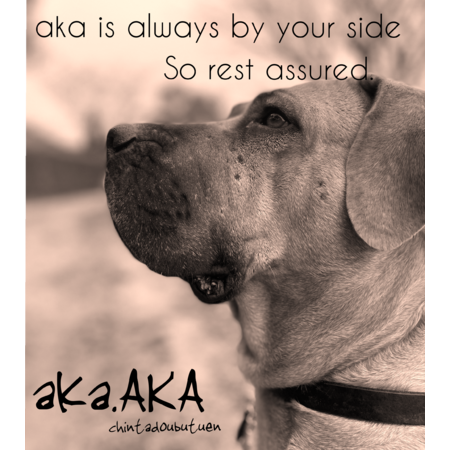 55f0b431 40b6 4e1b bc19 77bf3a4b33e2 s