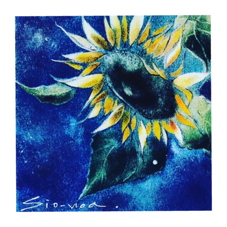 Fe01c157 4f42 4f2e b54c 190021e0dd31 s