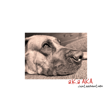 Ed8c32c0 7f07 4130 8047 fd38b34d1cdd s