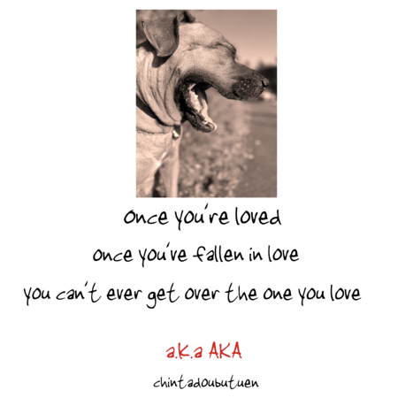 996cf6dc f7f2 435c ac18 abcad3b4c07d s