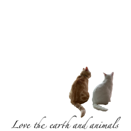 B5c085d0 0d42 4457 934d 9f7bde3cb593 s