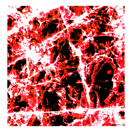 D239fadd 1231 4511 8d20 93b9ddbd0b5c s