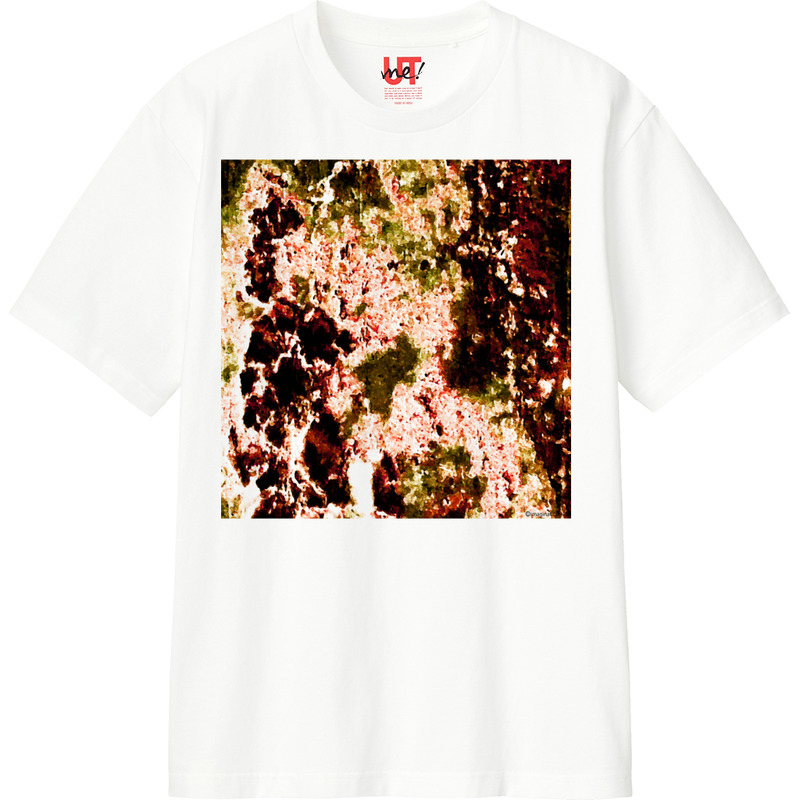 C476bb28 7072 4a0a b952 1bad11345c61 110 print ll