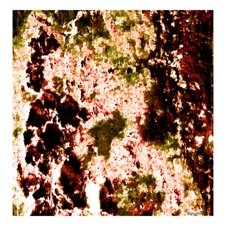 C476bb28 7072 4a0a b952 1bad11345c61 s