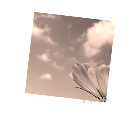 785639cd e506 4d49 a6ee eb2ac3305c41 s