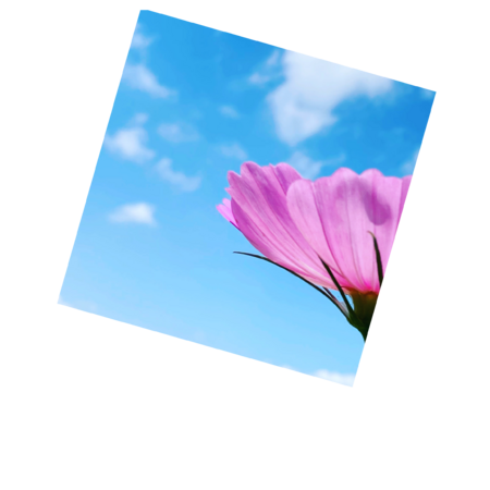 Acfe1d61 4e1d 4bfa 88a9 47dc7dc7c649 s