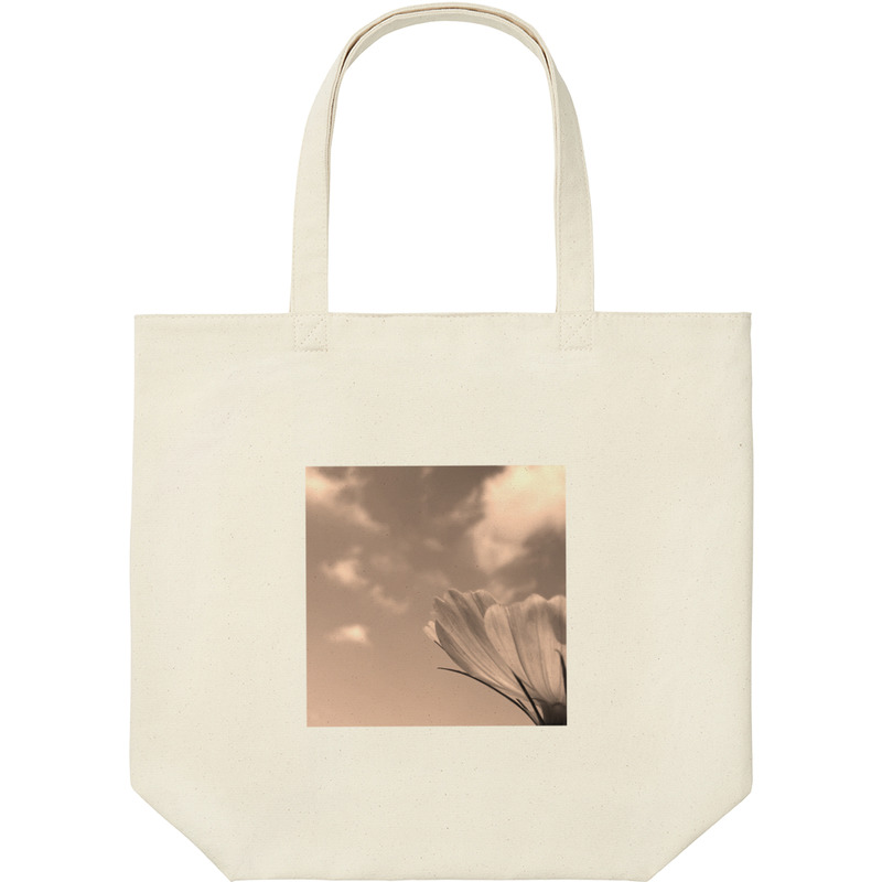 Ab5b5c54 de86 4c0a b065 22b9c4e5a53a 9 print ll