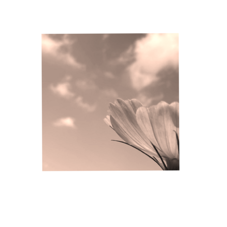 Ab5b5c54 de86 4c0a b065 22b9c4e5a53a s