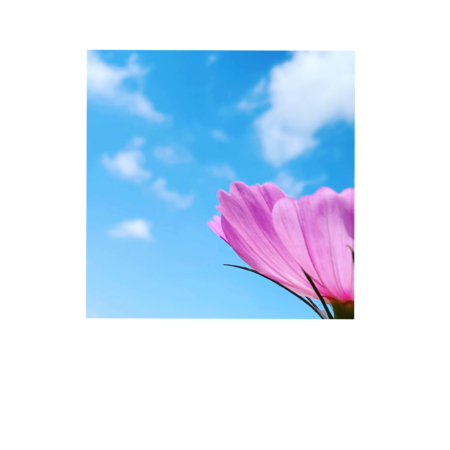 3343d5bc 1da2 45c8 bb58 d04873fb203b s