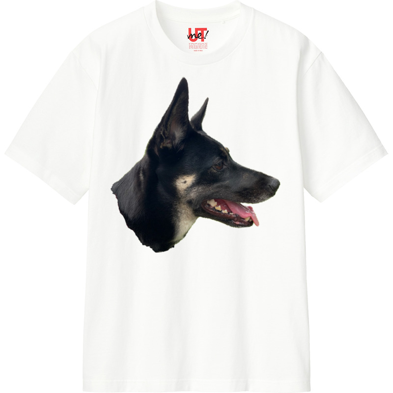 484ab9ee 5095 4c11 b446 55b3ec8b2d58 110 print ll