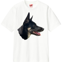 484ab9ee 5095 4c11 b446 55b3ec8b2d58 110 print s