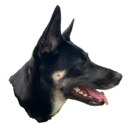 484ab9ee 5095 4c11 b446 55b3ec8b2d58 s