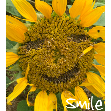 166d7c64 18ae 418e b613 c07cfbb56e6b s