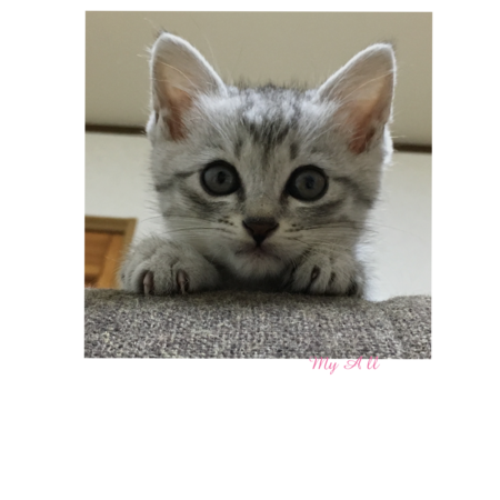 Cdc7c460 e8b9 4f08 97db d370015b7efa s