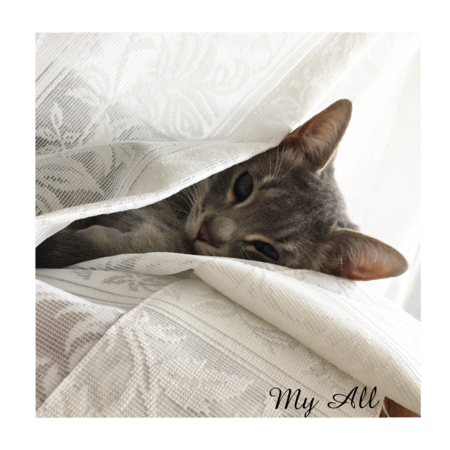 348236b9 d438 4290 8626 9d92bbb81c77 s