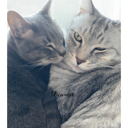 B0276739 98f5 4c93 bed8 65ebefa69932 s