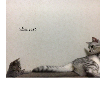 B5719205 a191 4889 93bd 0d378f79c6c6 s