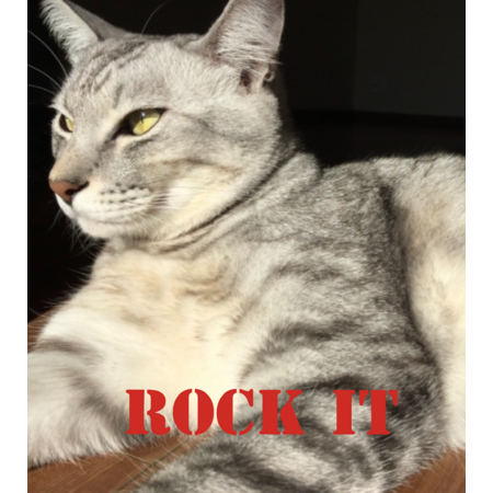 1d13de6e c819 4ac5 8795 347f5ed4af09 s