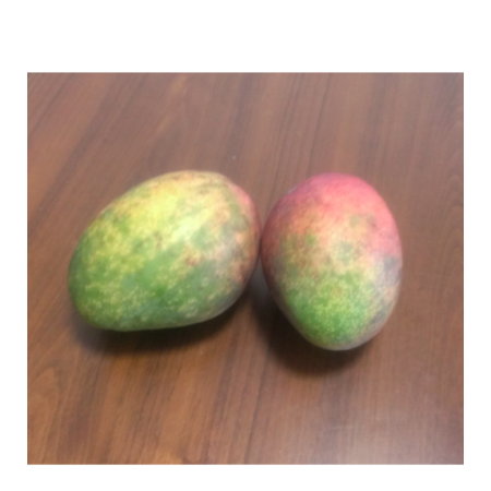 7ed3d840 7afd 4b20 a0b2 fed75c1592c7 s