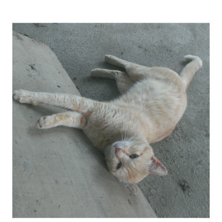 E342859c 0166 4be7 bcc0 0ae6717db0f3 s