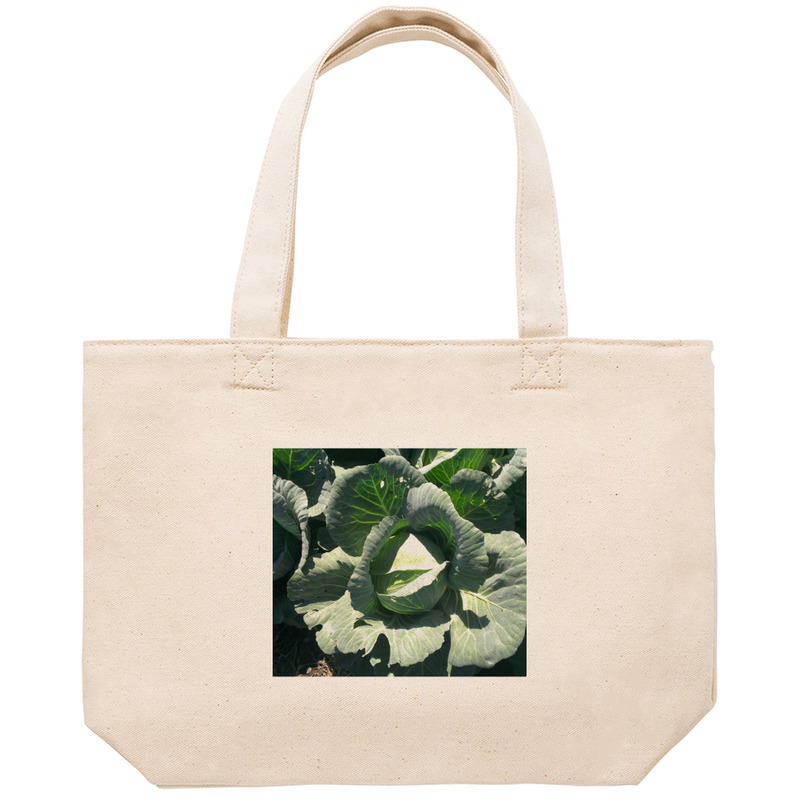 A9fe817a b255 471b b337 4552b5019589 53 print ll