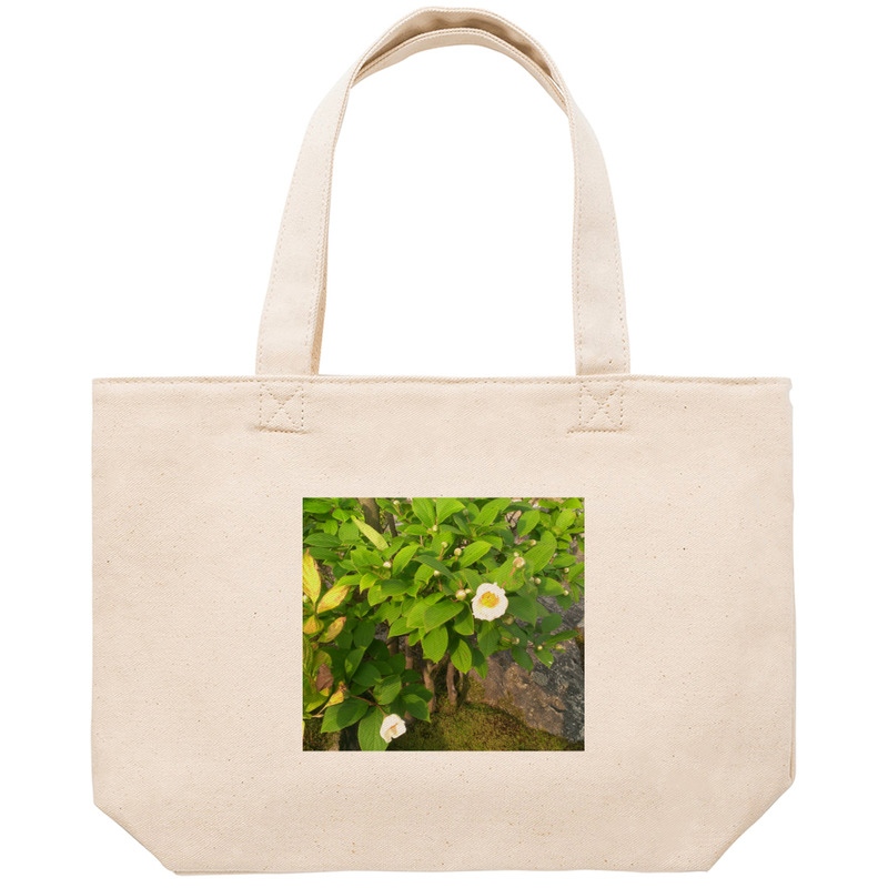 F9f58c65 3ab5 4566 8658 1d56387e501c 53 print ll