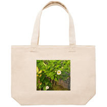 F9f58c65 3ab5 4566 8658 1d56387e501c 53 print s