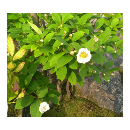 F9f58c65 3ab5 4566 8658 1d56387e501c s