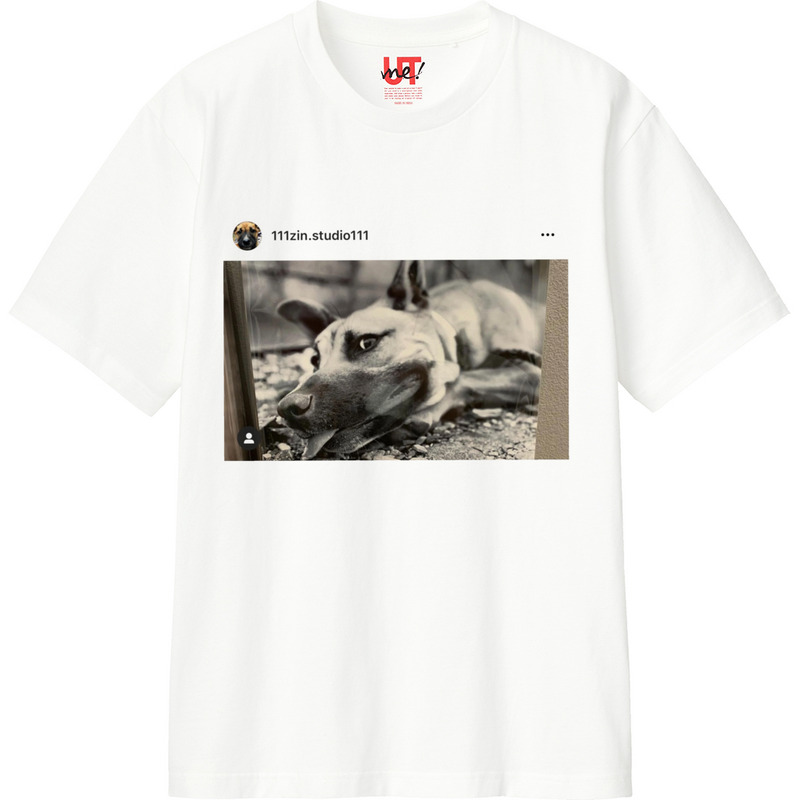 Dff786c9 4bab 4745 bd17 e3a190aa521a 110 print ll