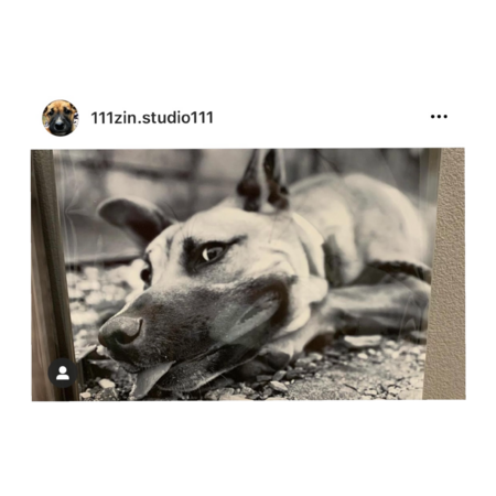 Dff786c9 4bab 4745 bd17 e3a190aa521a s