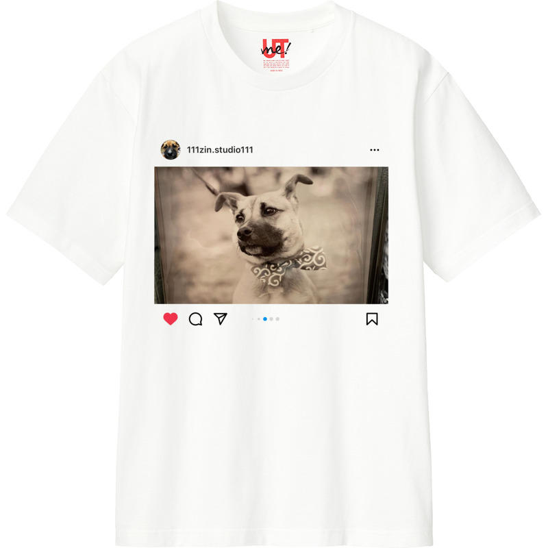 D2fd466b 4382 44a1 9c33 17c530aefd24 110 print ll