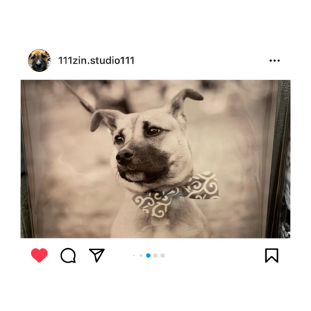 D2fd466b 4382 44a1 9c33 17c530aefd24 s