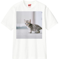 14c191bf efbf 420f b3c4 253649e81791 110 print s