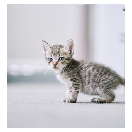 14c191bf efbf 420f b3c4 253649e81791 s