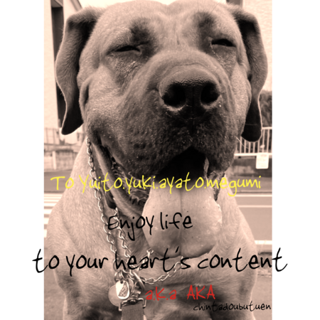 41585e61 02e1 447f 8e79 b9607c963358 s