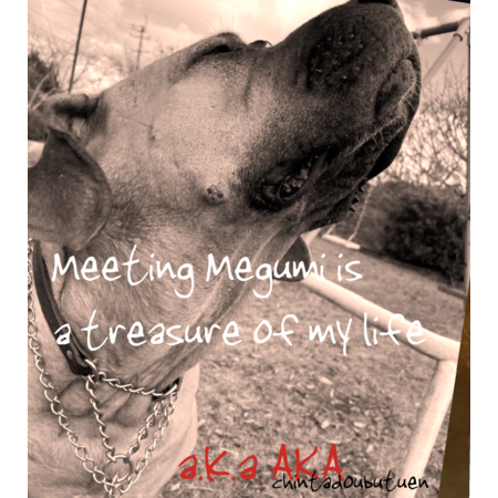 34bf59d7 5484 4b2c 9363 e1410704685e s