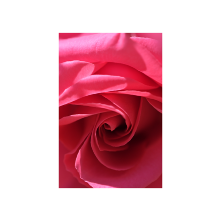 7d2f5d15 4a10 4feb bb2d 361be6a0efd5 s