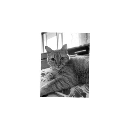 857c9acb cccf 4906 a85d 462f18891d35 s