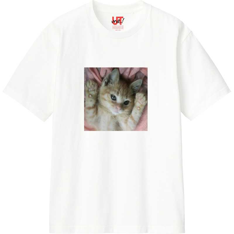 6d678d66 585d 4a4c 8aa0 efc053404254 110 print ll