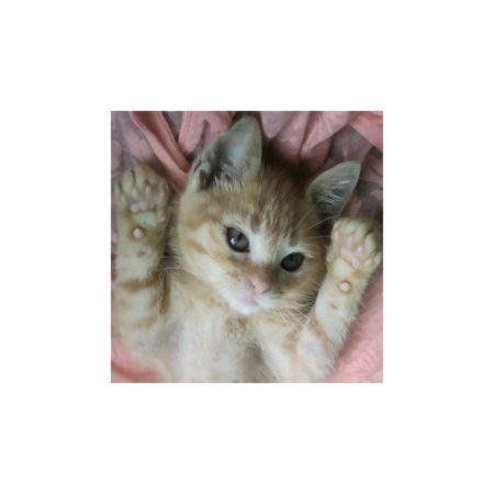 6d678d66 585d 4a4c 8aa0 efc053404254 s