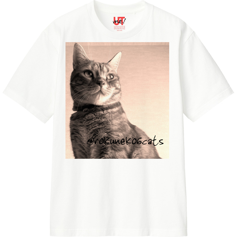 69fc4d2a 0cfd 47c7 97c1 b6824f234bca 110 print ll