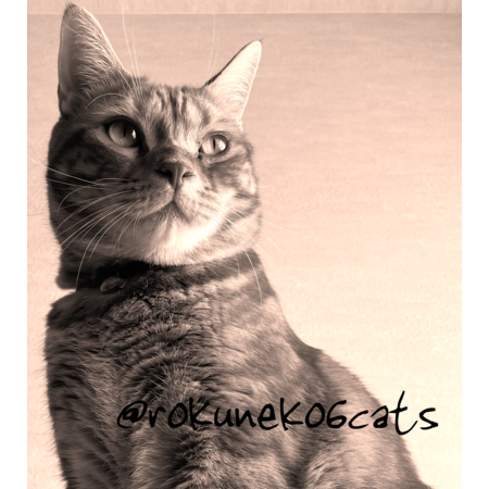 69fc4d2a 0cfd 47c7 97c1 b6824f234bca s