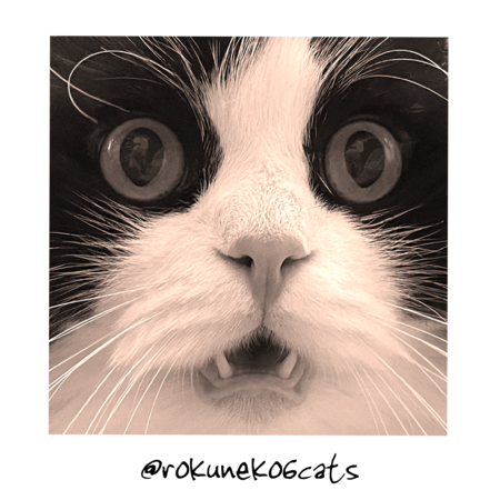 73e9865b 77f7 4b8b ba58 04a0153d383d s