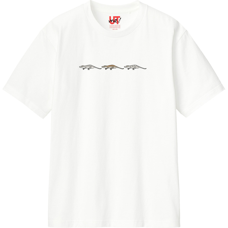 0e47a5b8 d8e8 47c1 9168 ee12bbe781c0 110 print ll