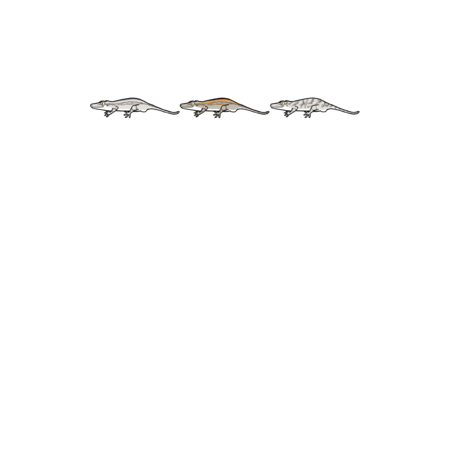 0e47a5b8 d8e8 47c1 9168 ee12bbe781c0 s