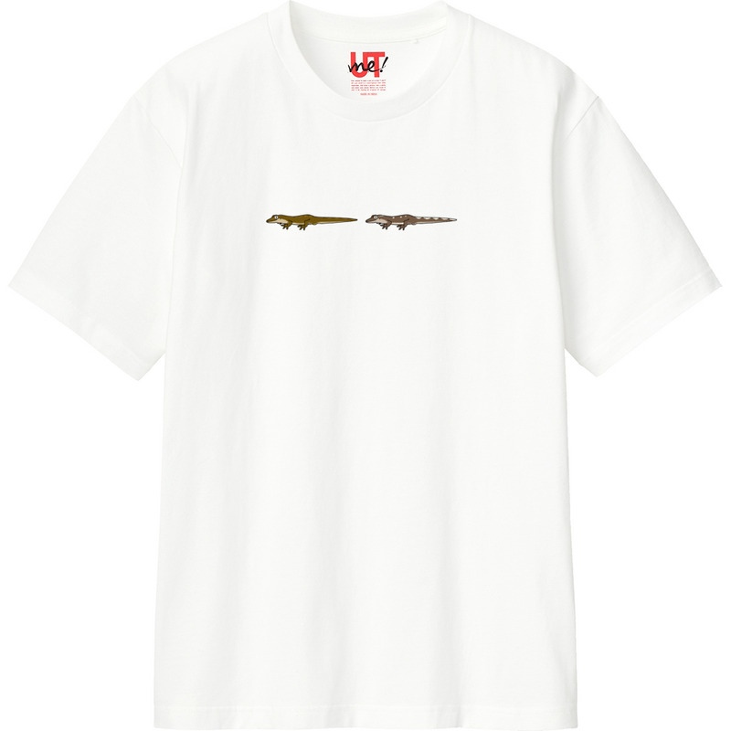 89f17cbc d055 4c87 976c 049229124bb0 110 print ll