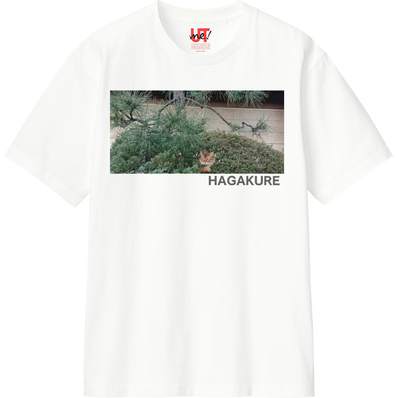 Bf8bec52 535b 4931 b606 0eb7d664e0da 110 print ll